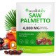 AcentialLabs Saw Palmetto (Gulsčioji serenoja), 300 kapsulių