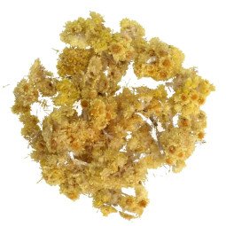 Planteon Žolelių arbata „Šlamučiai“ (Smiltyninių šlamučių žiedai), 50 g