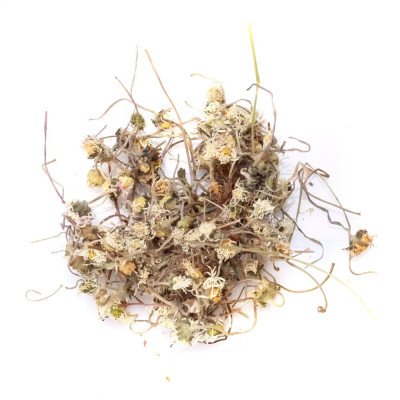 Planteon Žolelių arbata „Daugiametė saulutė“ (Bellis perennis žiedai), 50 g