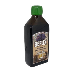 Befux čaga užpilas su žemės taukų sultimis, 250 ml Befux čaga užpilas su žemės taukų sultimis, 250 ml