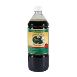 Chlorofilas spygliuočių eliksyras, 1000 ml Chlorofilas spygliuočių eliksyras, 1000 ml
