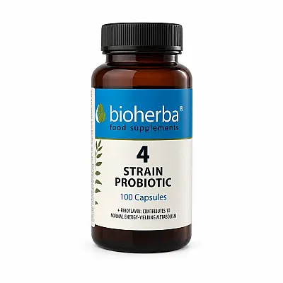 Bioherba Probiotic-4 su 4 bakterijų kultūromis ir vitaminu B2, 100 kapsulių