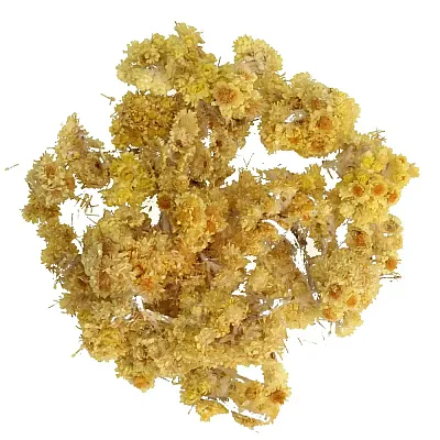 Planteon Žolelių arbata „Šlamučiai“ (Smiltyninių šlamučių žiedai), 50 g