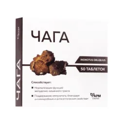 FarmGrupp čaga 500 mg, 50 tablečių