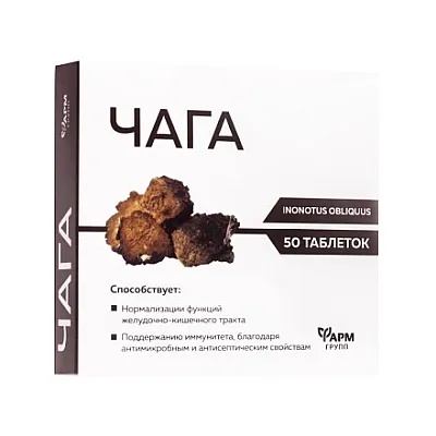 FarmGrupp čaga 500 mg, 50 tablečių